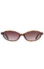 Robert Sunglasses Tortoise