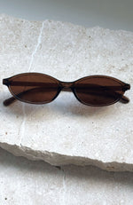 Robert Sunglasses Chocolate