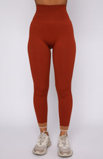 Sahara Seamless Leggings Burnt Clay